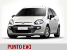 punto evo
